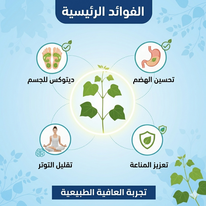 رقع قدم للتخلص من السموم، وسادات قدم طبيعية للتخلص من سموم الجسم، وتحسين جودة النوم، وتخفيف التوتر